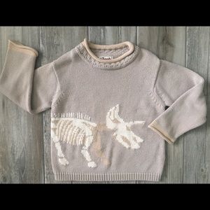 🦖Dinosaur Sweater 🦖